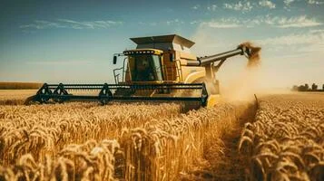 Imagem do artigo Agronegócio, Empreendedorismo e Formação de Talentos: Conexões que Constroem o Futuro.
