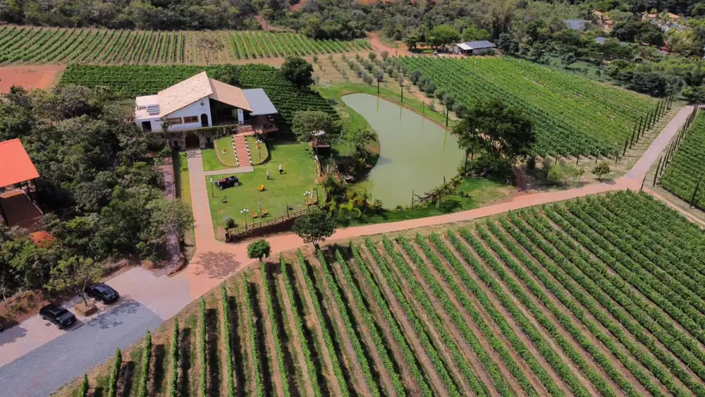 Imagem do artigo Do Cerrado para o Mundo: Os vinhos premiados da Vinícola Villa Triacca.